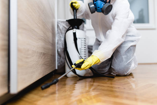Best Insect Control  in Uvalde Estates, TX