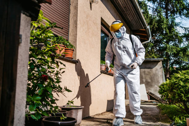 Best Pest Removal Services  in Uvalde Estates, TX