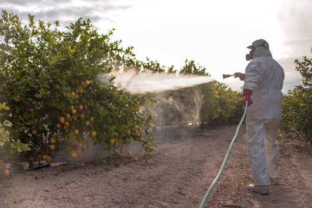 Best Pest Inspection Near Me  in Uvalde Estates, TX