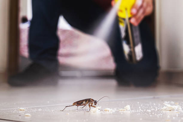 Best Residential Pest Control  in Uvalde Estates, TX