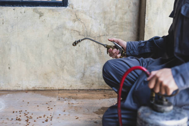 Best Affordable Pest Control Services  in Uvalde Estates, TX